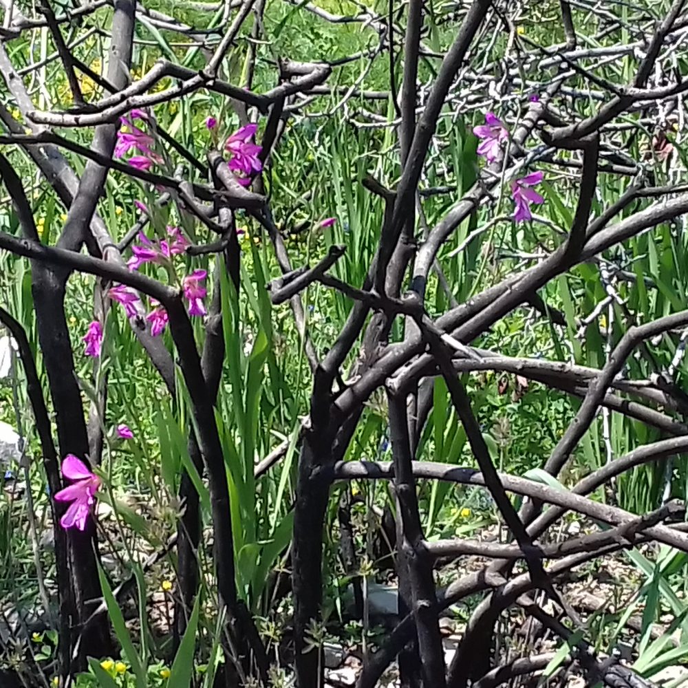 BIOCrete wild life area, the state of today